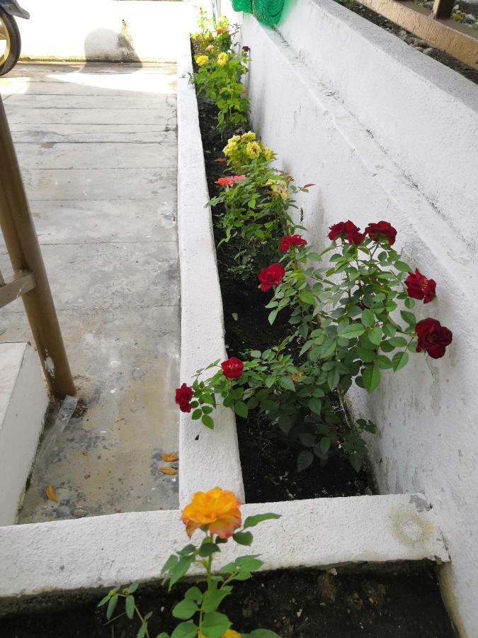 Jsw Inn Gelugor Exterior photo